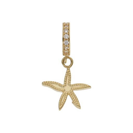 [CH26] CHARMS COLGANTE ORO 18KL ESTRELLA