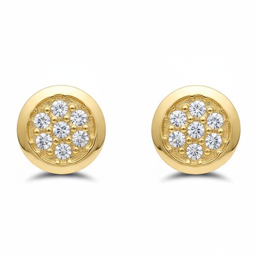 [P755] PENDIENTES ORO 18KL REDONDOS 11MMP1755