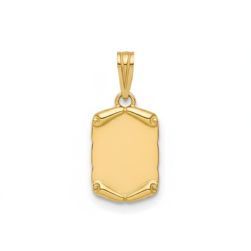 PLACA ORO 18KL PERGAMINO LISO - 12X18MM