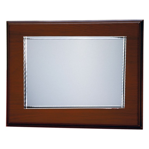 PLACA HOMENAJE ALUMINIO 26X21CM - 20X15CM